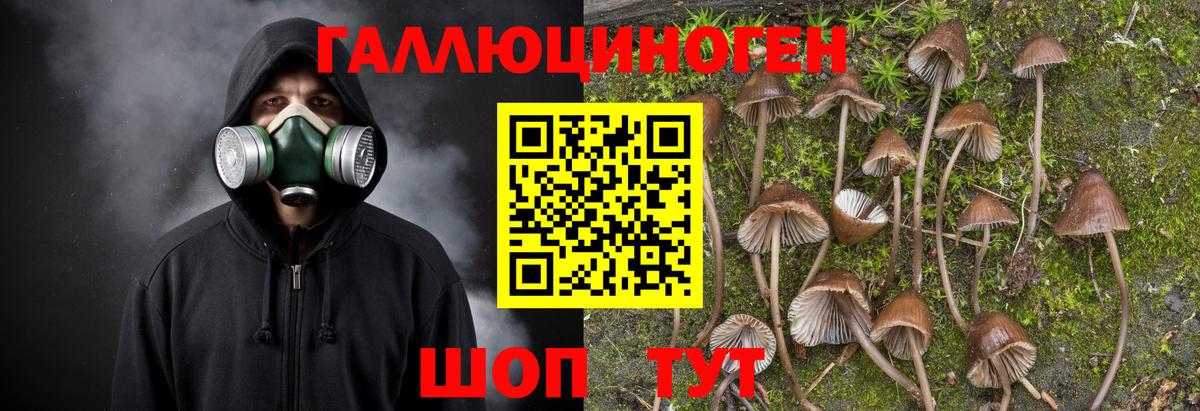 Псилоцибиновые грибы прущие грибы Шадринск