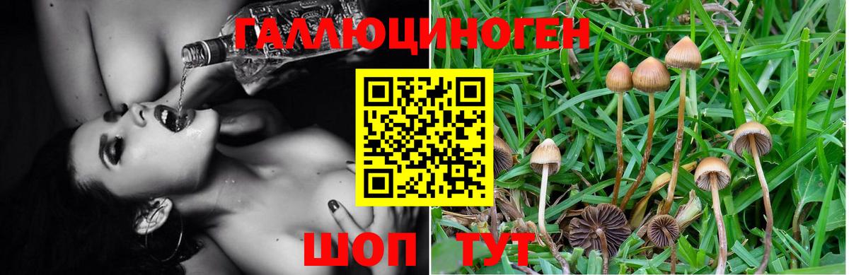 Псилоцибиновые грибы мухоморы  Вход с VPN  Шадринск 