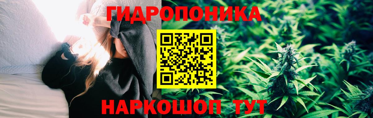 Марихуана ГИДРОПОН  МАРИХУАНА планчик  Канабис марихуана  Шадринск  Вход с VPN 